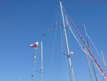 dsc00390.jpg